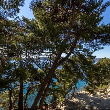 شقة In Park Forest Marjan