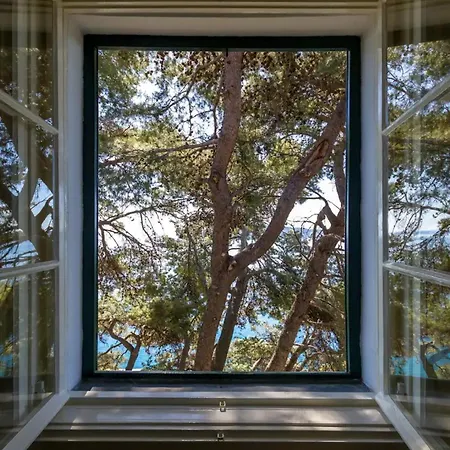 Apartman In Park Forest Marjan *